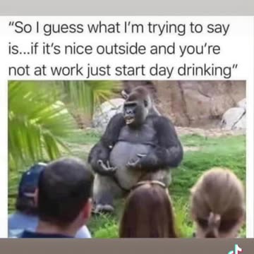 Grandpa 👴 Tom’s Words Of Wisdom