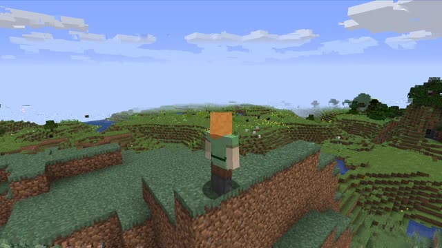 Minecraft vanilla skin version 1.17.1_ Shorts_2nd_Outting_24