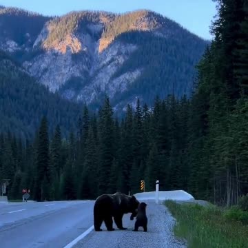 Good Day Rumble World 💙💚