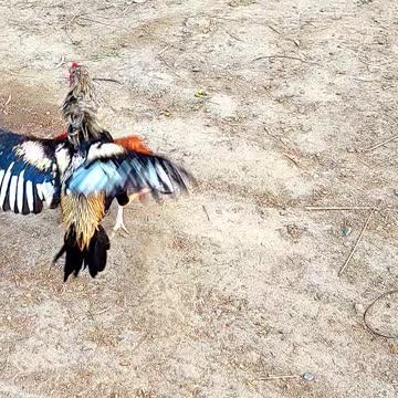 Checkan action in the world ❤️