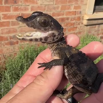 Feed me feed me 🤣🤣👍