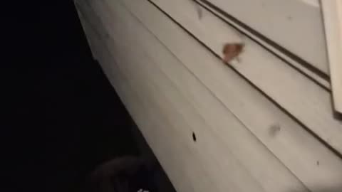 Spider is crafting a Tangled Feast