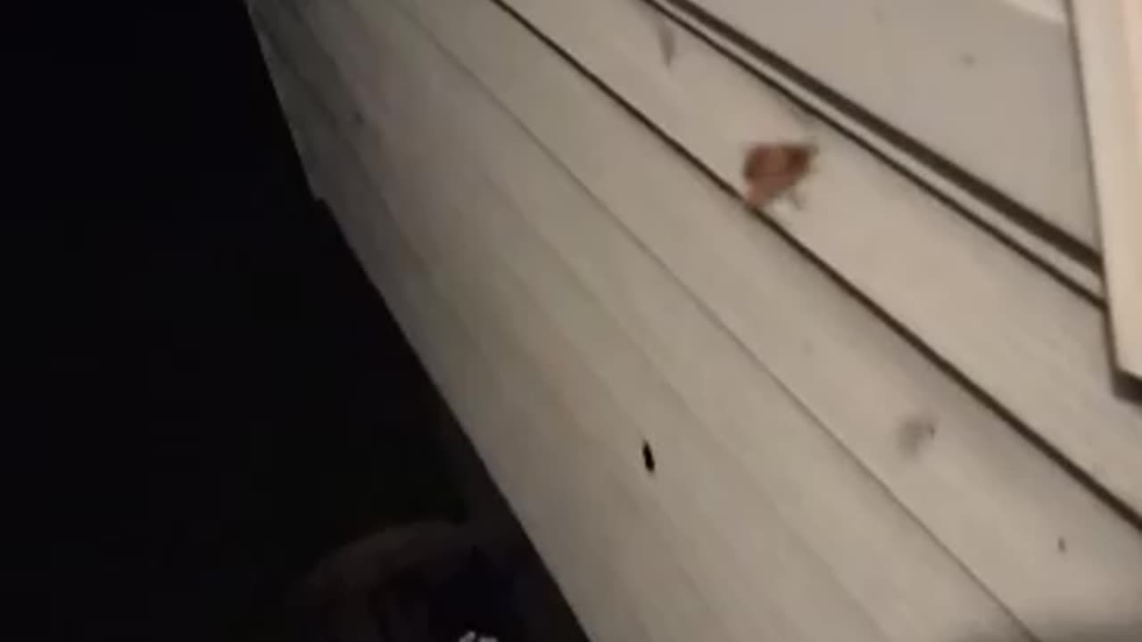 Spider is crafting a Tangled Feast
