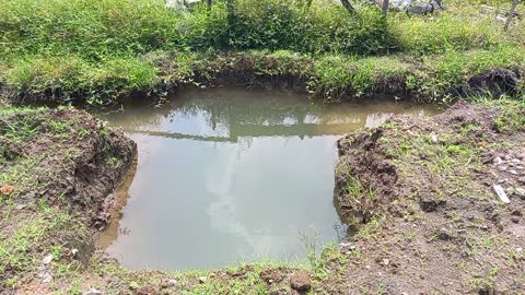 water in the puddle