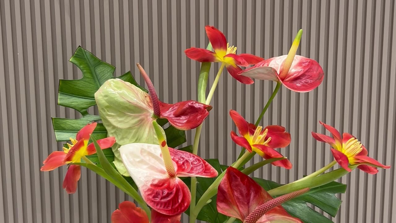 Love flowers