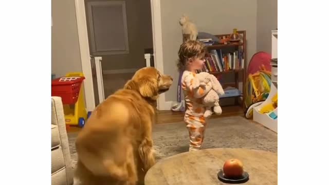 Cute dog prank videos funny animals