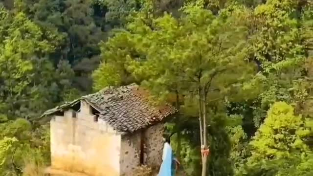 Videos