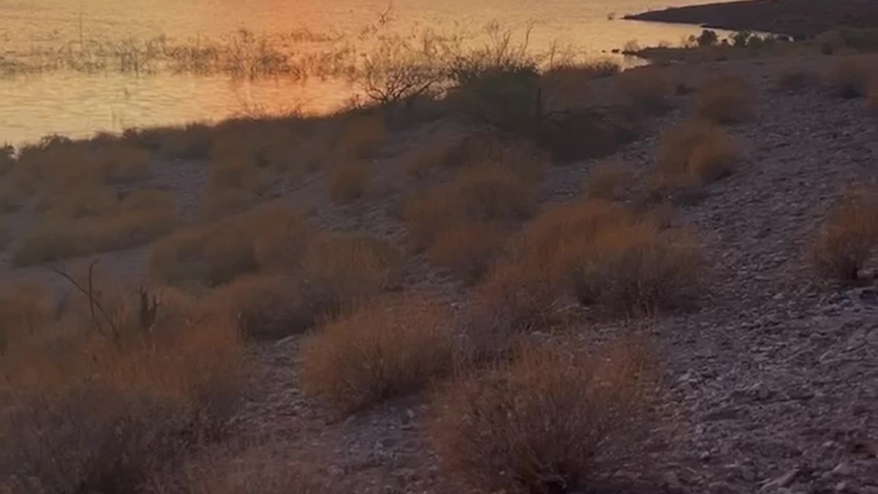 Gorgeous Alamo Lake Sunset, Arizona