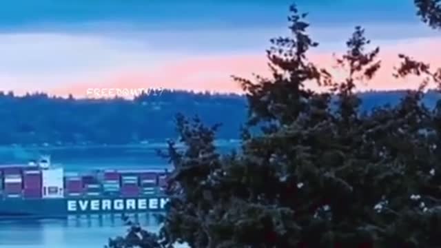 Evergreen we see you