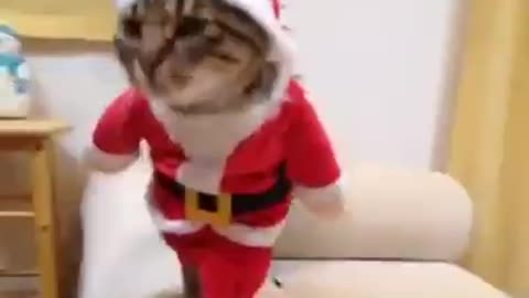 Cutest Santa