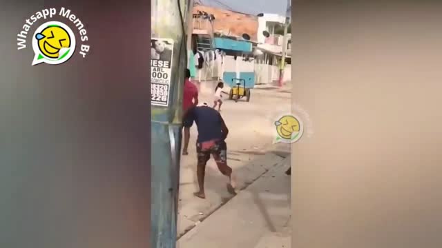 The best funny videos