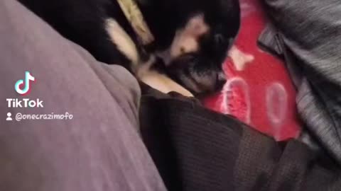 Everybody was Sleeping 💤