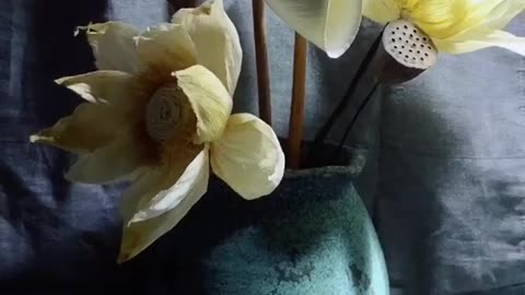 Corn petal reuse