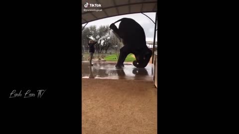 Funny Moments Of The Year