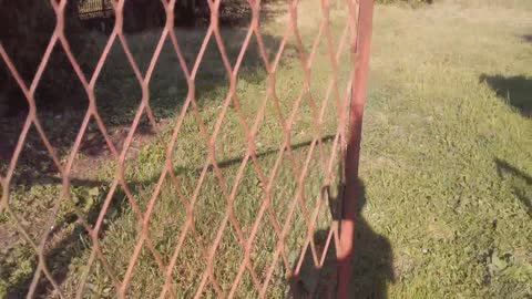 Ghost behind the house