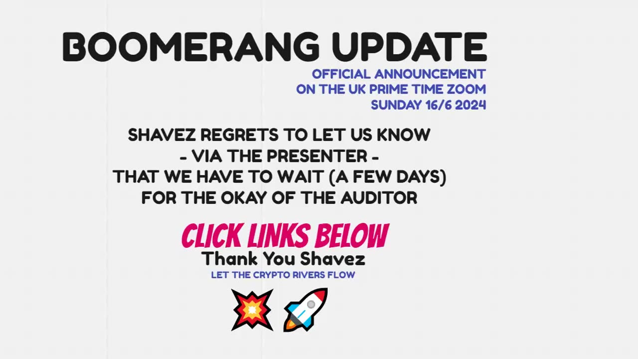 BOOMERANG no ceo shavez LATEST OFFICIAL UPDATE we have to wait for auditors okay TOP TEAM ROB BUSER