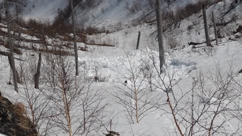 Tourists Capture Avalanche on Mountain Range