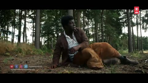 Mermaids Trying To Kill War Fighter _ Hollywood Movie Best Action Scene In Hindi _ Best Action Scene