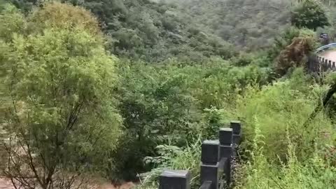 torrent