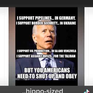 Hippo-sized Hypocrisy