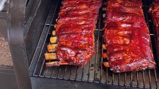Ribs on the Jim Bowie