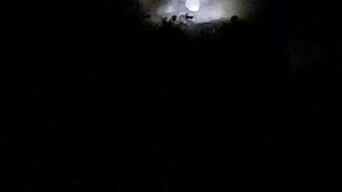 First Moon of Fall 2021