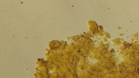 Magnetic Material Found in Post Honey Bunches of Oats