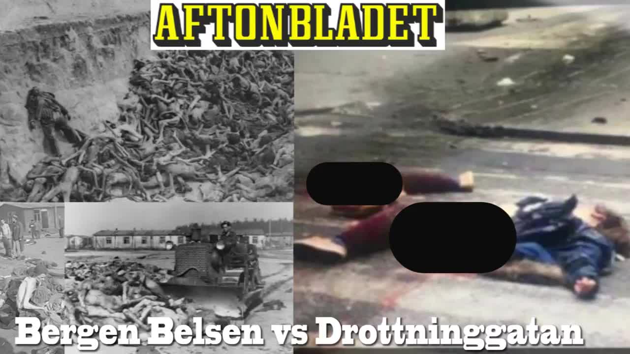 Mästerliga bilder på nya orättvisa hudfärgssverige