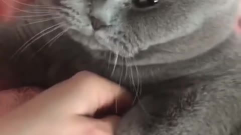 I don't know what to be angry about