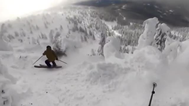 Ski