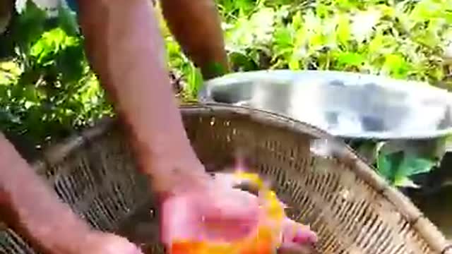 Very Lucky day found KOI fish
