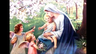 Flowers For Mary