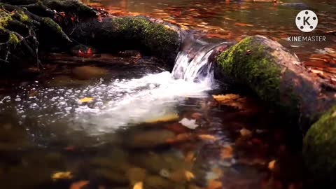Relaxing music for every day.