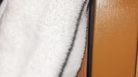 I can't sleep in a hotel without doing this.
