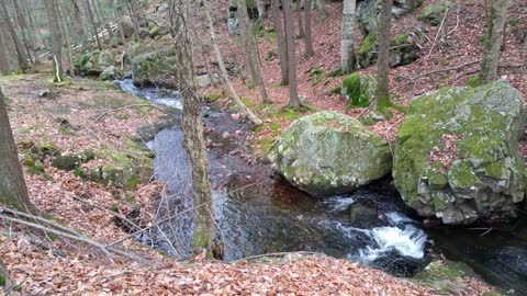 A peacefull babbling brook