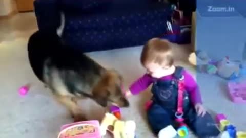 LA RISA DE UN BEBE AL VER A SU PERRO JUGANDO-THE LAUGH OF A BABY WHEN SEEING HIS DOG PLAYING