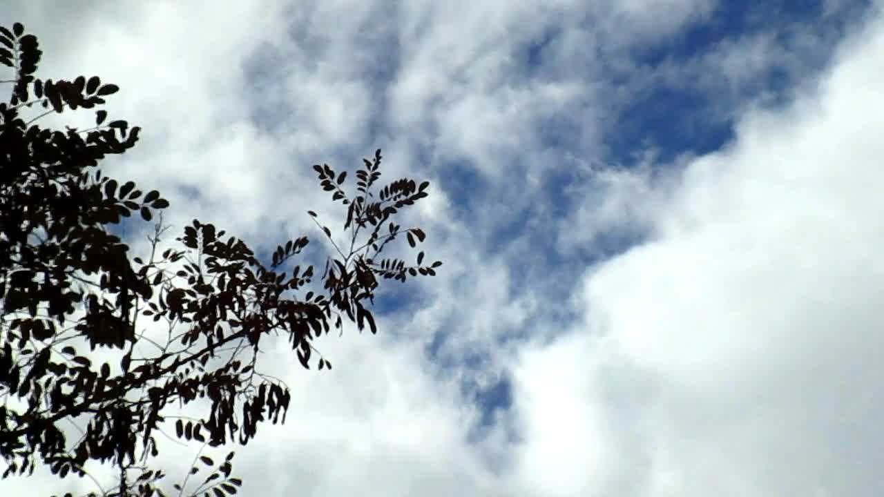 sky sky sky