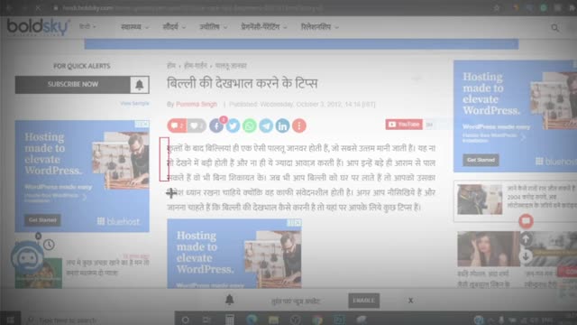 MAKE MONEY ONLINE WITH PROOF