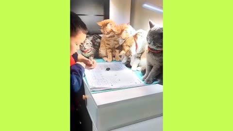 There are so many people supervising your homework #Who can resist such a cute kitten.