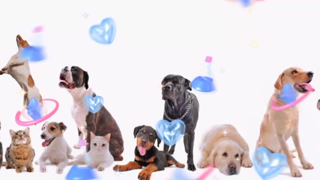 Look, count, you like it.mp4