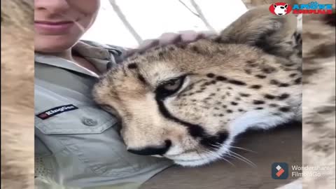 Human and Animals Friendship