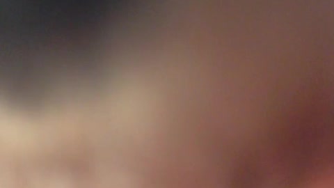 White dog putting nose up to phone screen