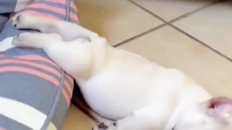 😍😍