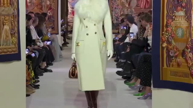 elegant female model