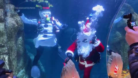 Santa and snowman bring Christmas joy to underwater world at Munich Sea Life