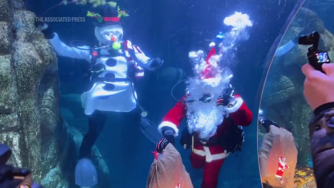Santa and snowman bring Christmas joy to underwater world at Munich Sea Life