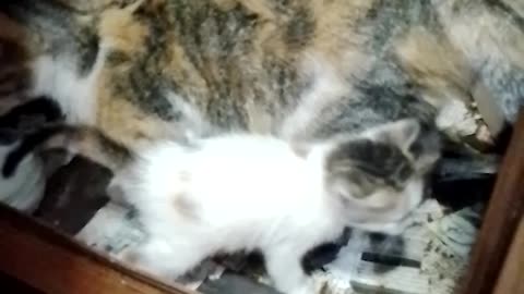 Play time