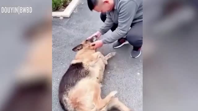 ExK9 Police Dog Cries as its REUNITES with Handler