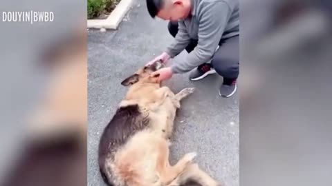 ExK9 Police Dog Cries as its REUNITES with Handler