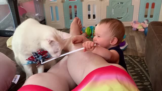 Cutest baby play with cats